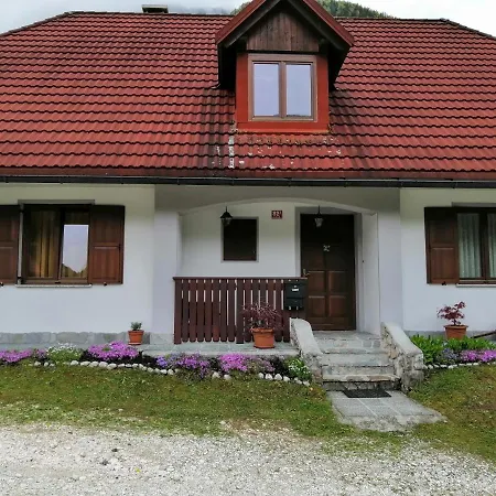 Pocitnisko Stanovanje Planja Apartment *