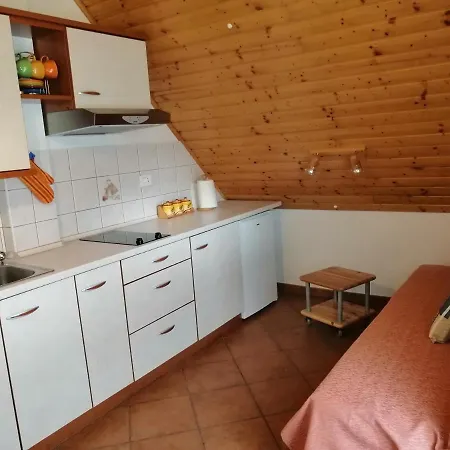 Apartment Pocitnisko Stanovanje Planja Soca