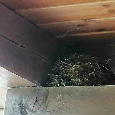 Pocitnisko Stanovanje Planja Apartman Soca