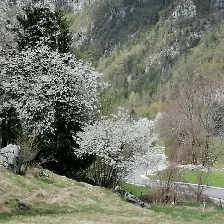 Pocitnisko Stanovanje Planja