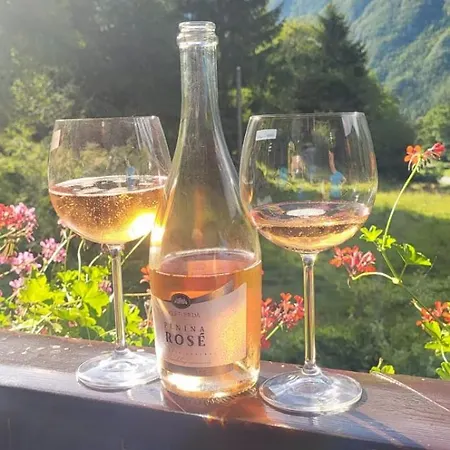 Pocitnisko Stanovanje Planja * Soča