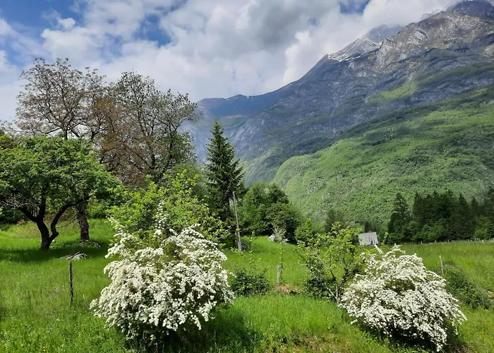 Pocitnisko Stanovanje Planja Appartamento Soča