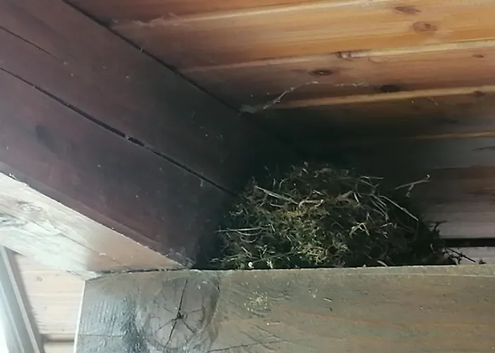 Pocitnisko Stanovanje Planja Appartamento Soča