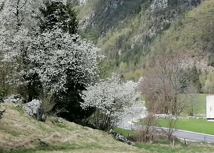 Pocitnisko Stanovanje Planja